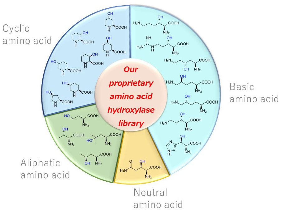 Our proprietary amino acid hydroxylase library